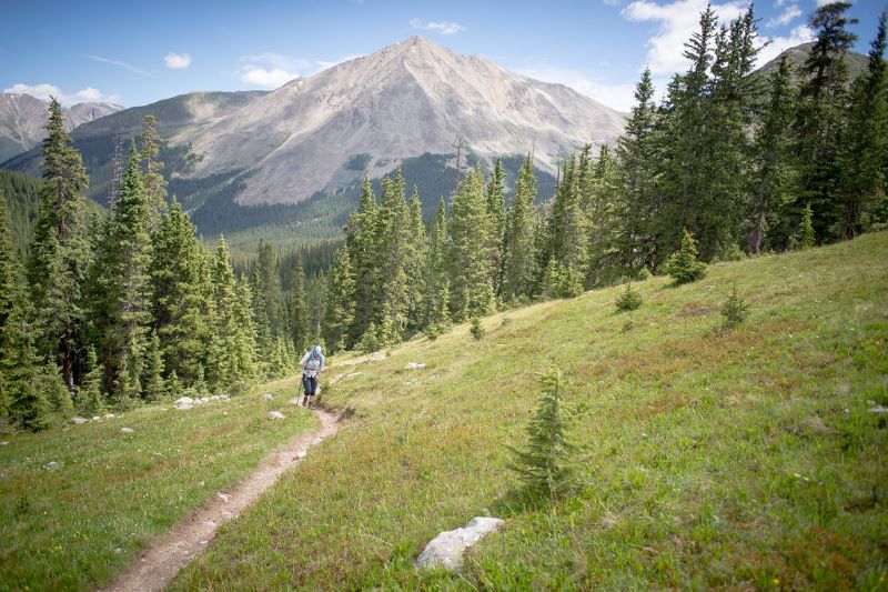 Person hiking a single track trail through a forest, large bare mountain in the background.