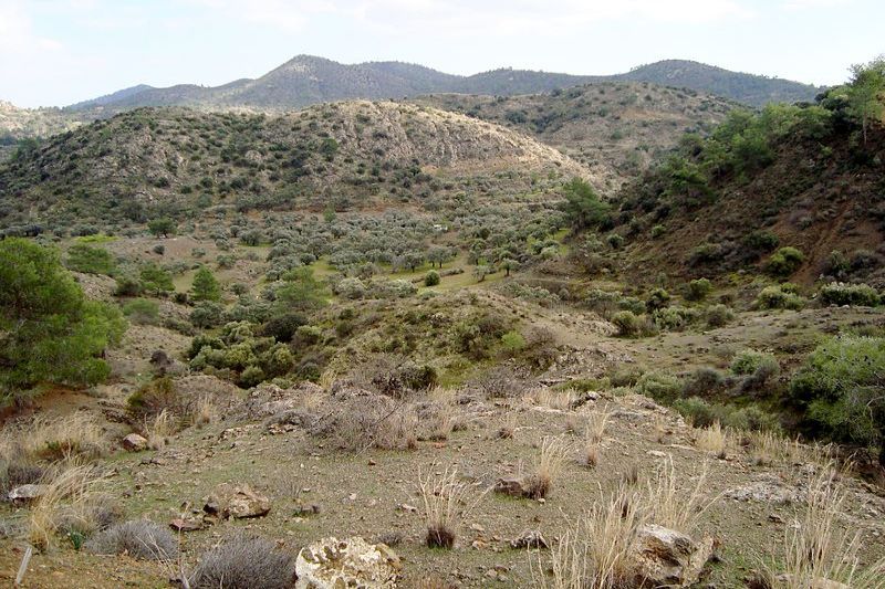 A landscape with short, brown hills dotted with green shrubs.