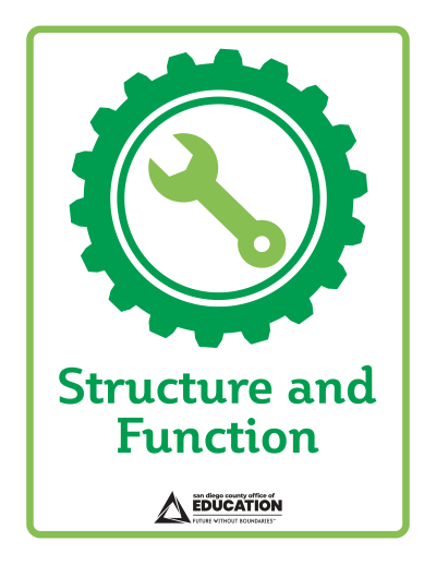 Icon of a wrench and gear representing Structure and Function